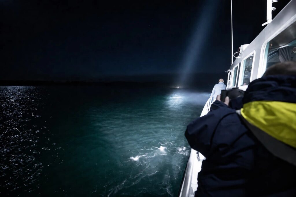 Search and rescue activity during nighttime
